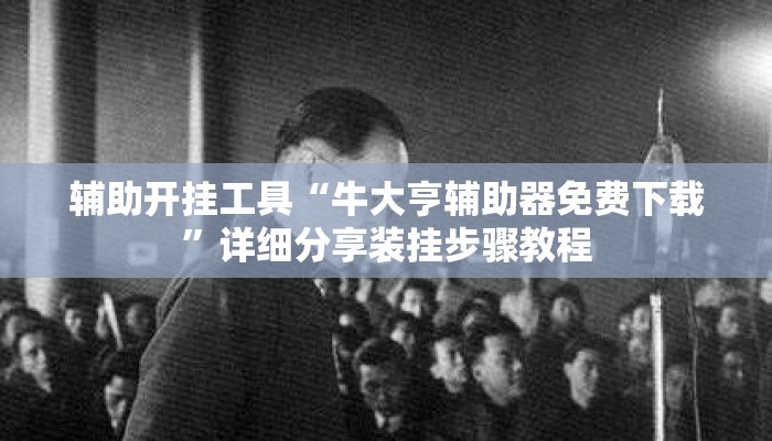 辅助开挂工具“牛大亨辅助器免费下载”详细分享装挂步骤教程