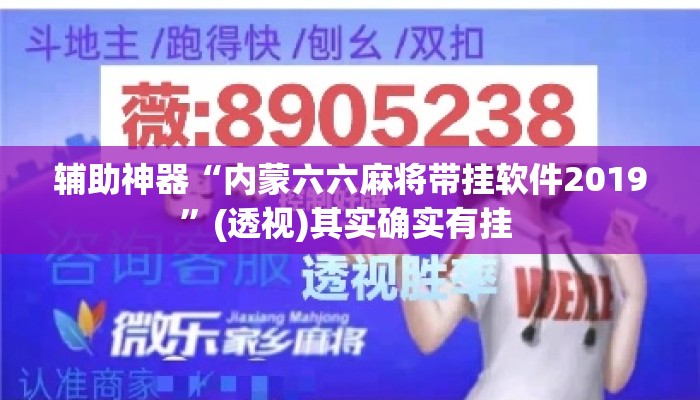 辅助神器“内蒙六六麻将带挂软件2019”(透视)其实确实有挂 