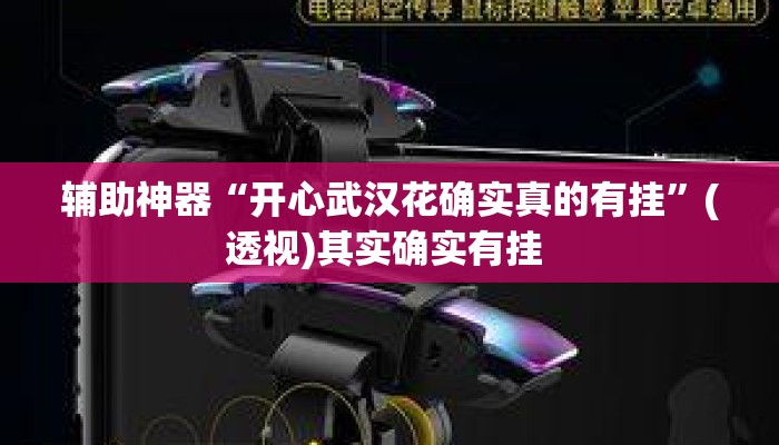 辅助神器“开心武汉花确实真的有挂	”(透视)其实确实有挂 