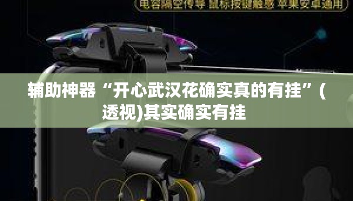 辅助神器“开心武汉花确实真的有挂”(透视)其实确实有挂 