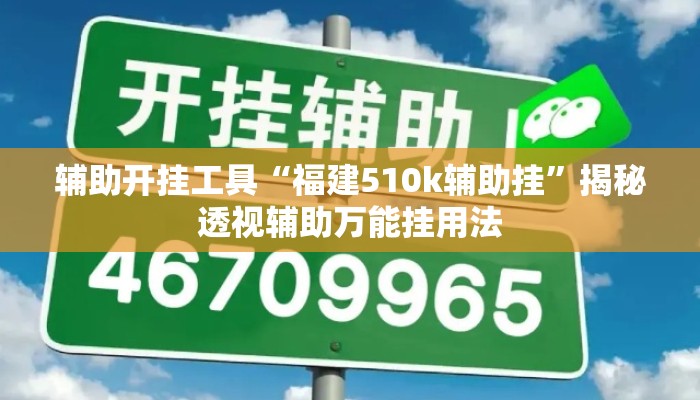 辅助开挂工具“福建510k辅助挂”揭秘透视辅助万能挂用法