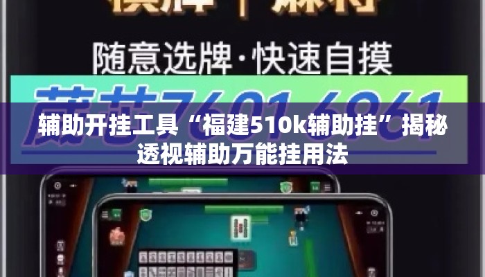 辅助开挂工具“福建510k辅助挂”揭秘透视辅助万能挂用法