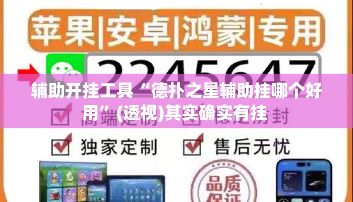 辅助开挂工具“德扑之星辅助挂哪个好用”(透视)其实确实有挂 