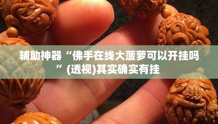 辅助神器“佛手在线大菠萝可以开挂吗	”(透视)其实确实有挂 