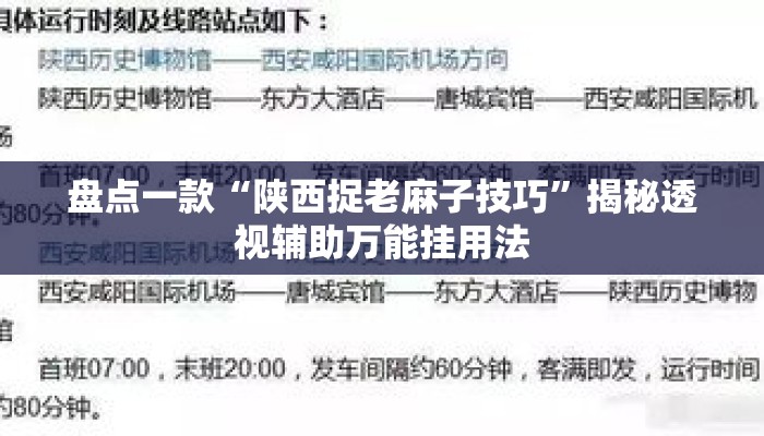 盘点一款“陕西捉老麻子技巧”揭秘透视辅助万能挂用法
