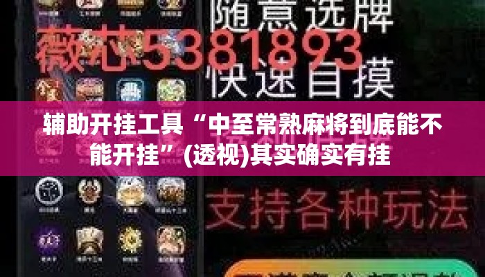 辅助开挂工具“中至常熟麻将到底能不能开挂	”(透视)其实确实有挂 