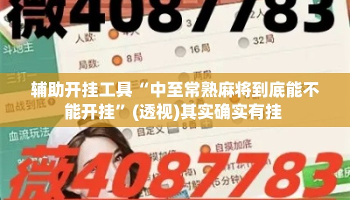 辅助开挂工具“中至常熟麻将到底能不能开挂	”(透视)其实确实有挂 