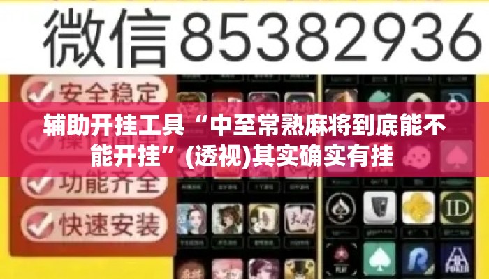 辅助开挂工具“中至常熟麻将到底能不能开挂”(透视)其实确实有挂 