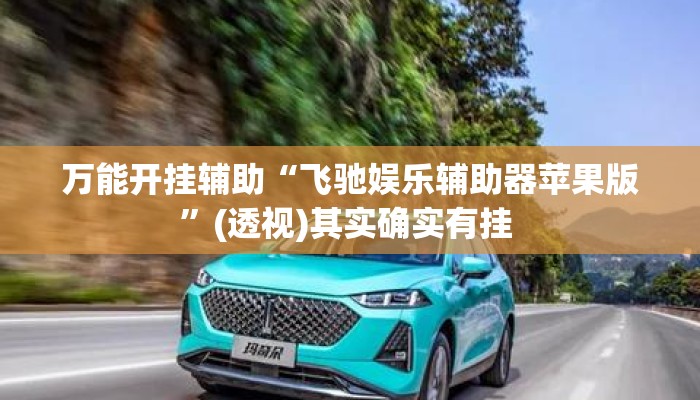万能开挂辅助“飞驰娱乐辅助器苹果版”(透视)其实确实有挂 
