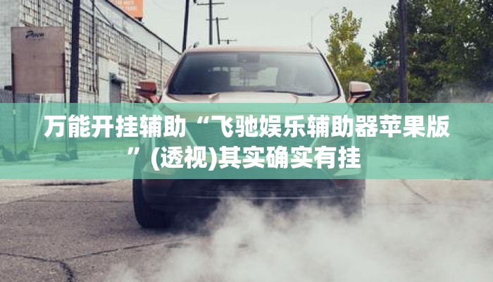 万能开挂辅助“飞驰娱乐辅助器苹果版”(透视)其实确实有挂 