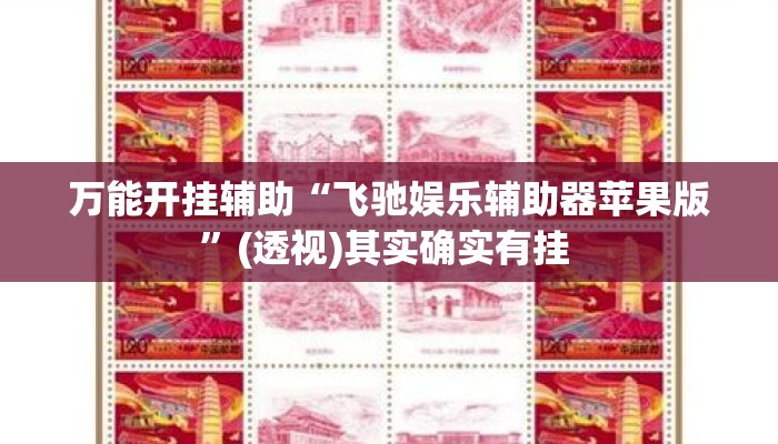 万能开挂辅助“飞驰娱乐辅助器苹果版”(透视)其实确实有挂 