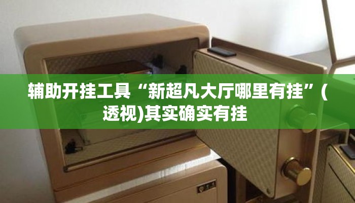 辅助开挂工具“新超凡大厅哪里有挂	”(透视)其实确实有挂 