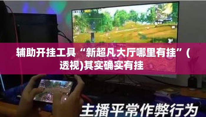 辅助开挂工具“新超凡大厅哪里有挂”(透视)其实确实有挂 