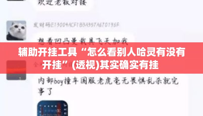 辅助开挂工具“怎么看别人哈灵有没有开挂	”(透视)其实确实有挂 