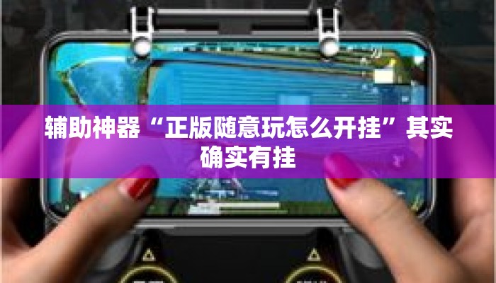 辅助神器“正版随意玩怎么开挂”其实确实有挂