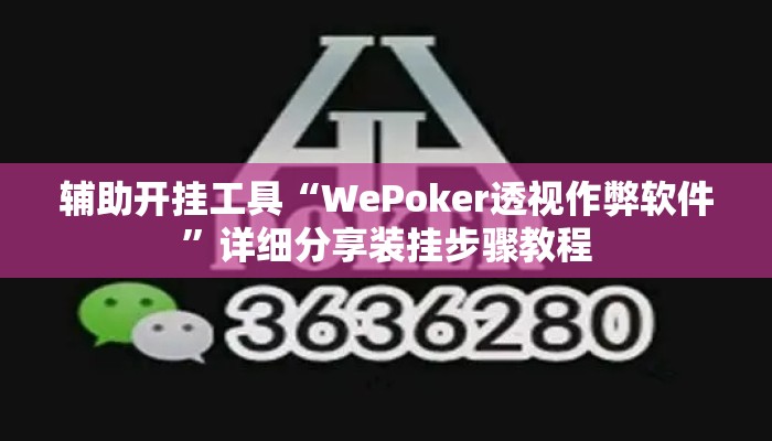 辅助开挂工具“WePoker透视作弊软件	”详细分享装挂步骤教程