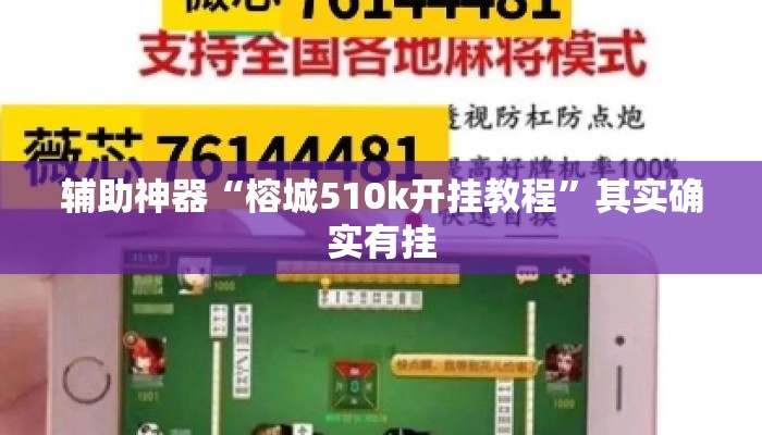 辅助神器“榕城510k开挂教程”其实确实有挂