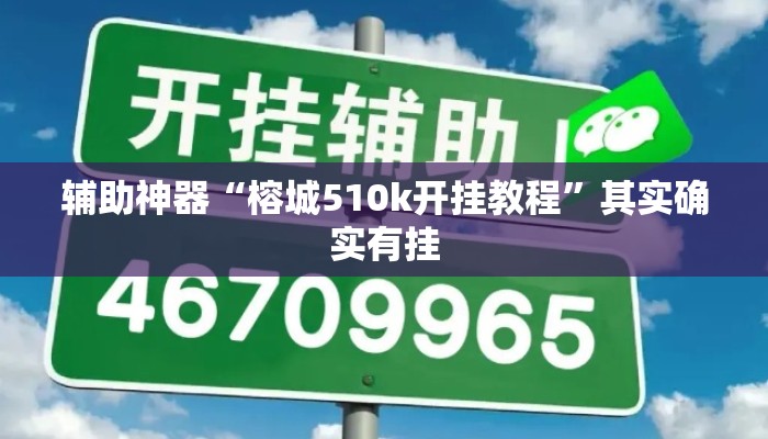 辅助神器“榕城510k开挂教程”其实确实有挂