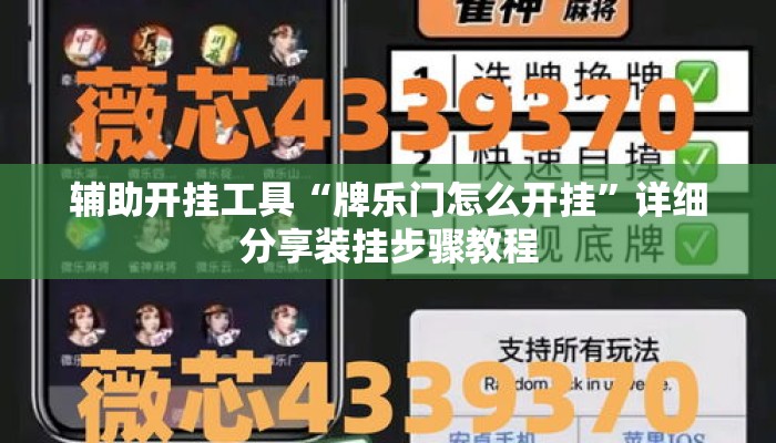 辅助开挂工具“牌乐门怎么开挂”详细分享装挂步骤教程