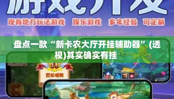 盘点一款“新卡农大厅开挂辅助器	”(透视)其实确实有挂 