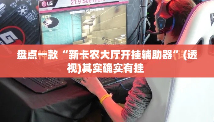 盘点一款“新卡农大厅开挂辅助器”(透视)其实确实有挂 