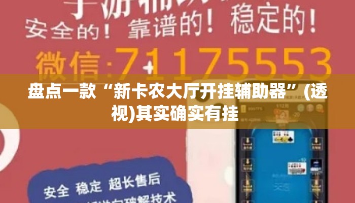 盘点一款“新卡农大厅开挂辅助器”(透视)其实确实有挂 