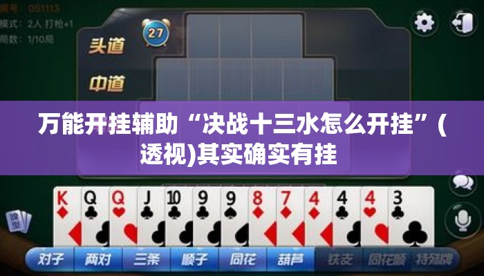 万能开挂辅助“决战十三水怎么开挂”(透视)其实确实有挂 
