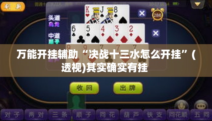 万能开挂辅助“决战十三水怎么开挂”(透视)其实确实有挂 