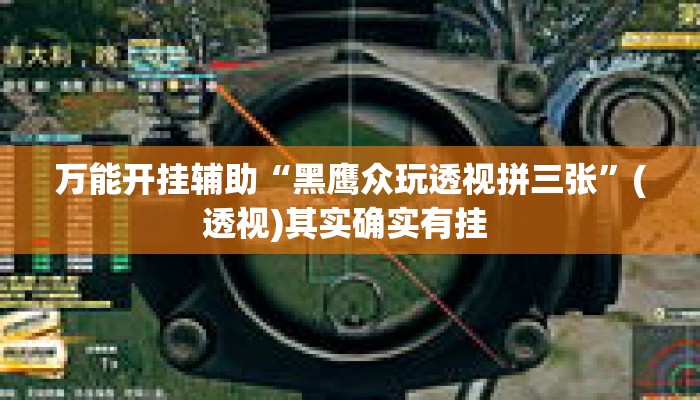 万能开挂辅助“黑鹰众玩透视拼三张	”(透视)其实确实有挂 