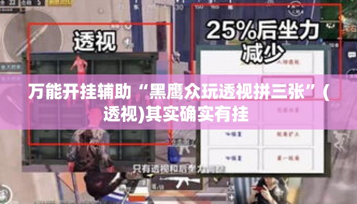 万能开挂辅助“黑鹰众玩透视拼三张”(透视)其实确实有挂 