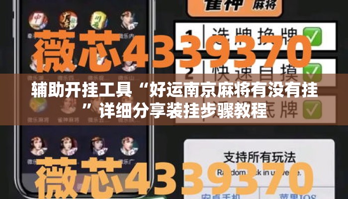 辅助开挂工具“好运南京麻将有没有挂”详细分享装挂步骤教程
