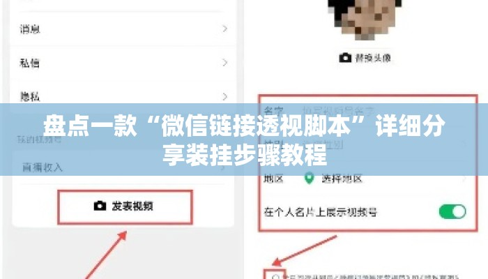 盘点一款“微信链接透视脚本”详细分享装挂步骤教程
