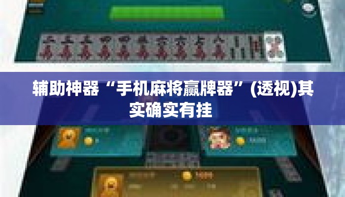 辅助神器“手机麻将赢牌器	”(透视)其实确实有挂 