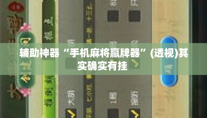 辅助神器“手机麻将赢牌器”(透视)其实确实有挂 