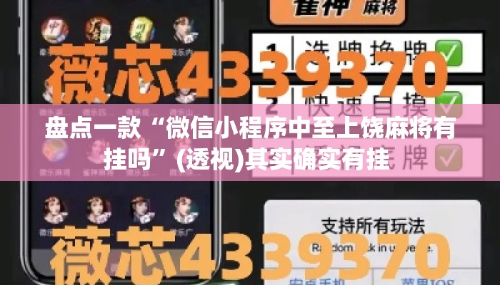 盘点一款“微信小程序中至上饶麻将有挂吗”(透视)其实确实有挂 