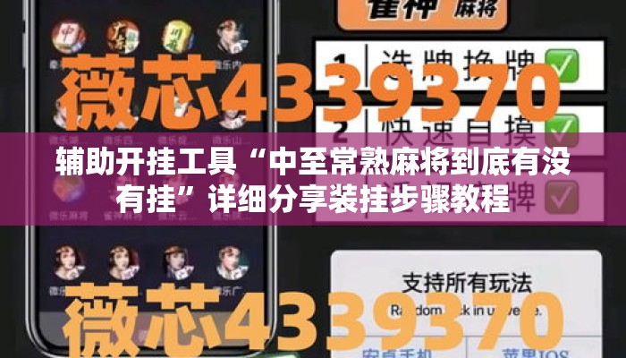 辅助开挂工具“中至常熟麻将到底有没有挂”详细分享装挂步骤教程