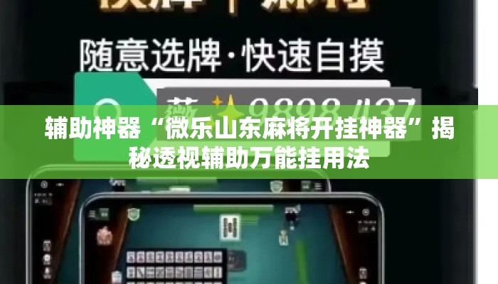 辅助神器“微乐山东麻将开挂神器	”揭秘透视辅助万能挂用法