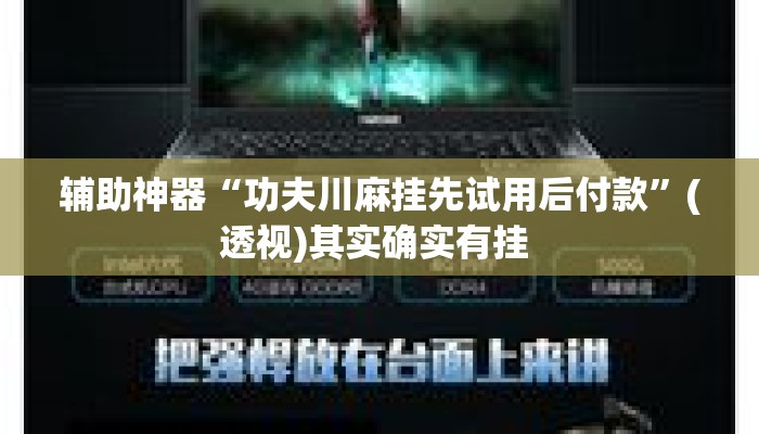 辅助神器“功夫川麻挂先试用后付款”(透视)其实确实有挂 