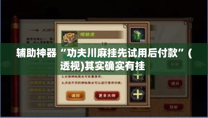 辅助神器“功夫川麻挂先试用后付款	”(透视)其实确实有挂 