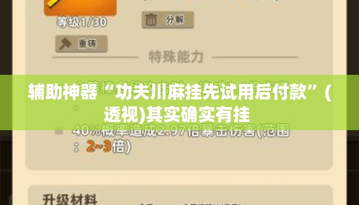 辅助神器“功夫川麻挂先试用后付款	”(透视)其实确实有挂 