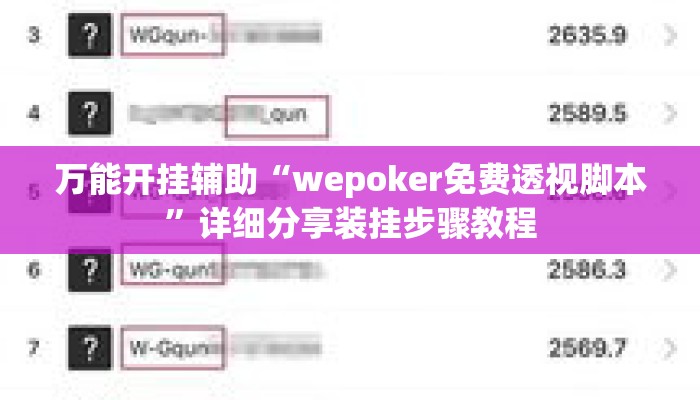 万能开挂辅助“wepoker免费透视脚本”详细分享装挂步骤教程