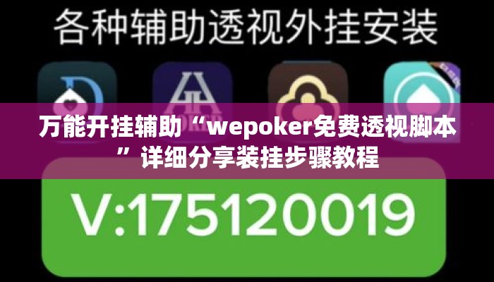 万能开挂辅助“wepoker免费透视脚本”详细分享装挂步骤教程