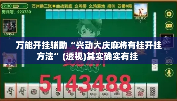 万能开挂辅助“兴动大庆麻将有挂开挂方法”(透视)其实确实有挂 