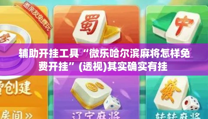 辅助开挂工具“微乐哈尔滨麻将怎样免费开挂	”(透视)其实确实有挂 