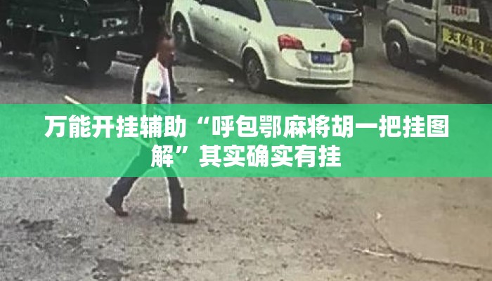 万能开挂辅助“呼包鄂麻将胡一把挂图解”其实确实有挂