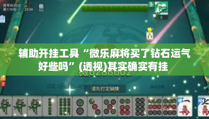 辅助开挂工具“微乐麻将买了钻石运气好些吗”(透视)其实确实有挂 