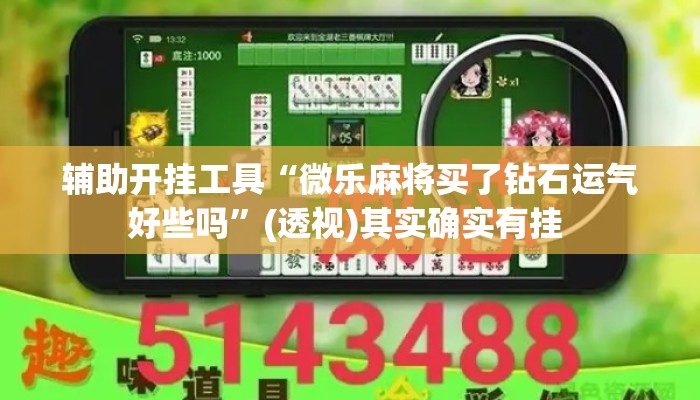 辅助开挂工具“微乐麻将买了钻石运气好些吗	”(透视)其实确实有挂 