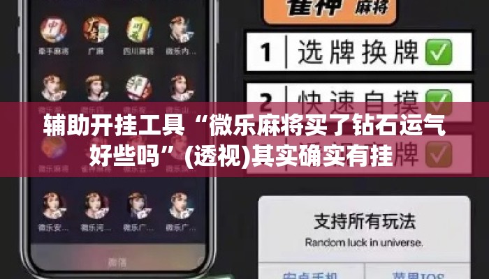 辅助开挂工具“微乐麻将买了钻石运气好些吗”(透视)其实确实有挂 
