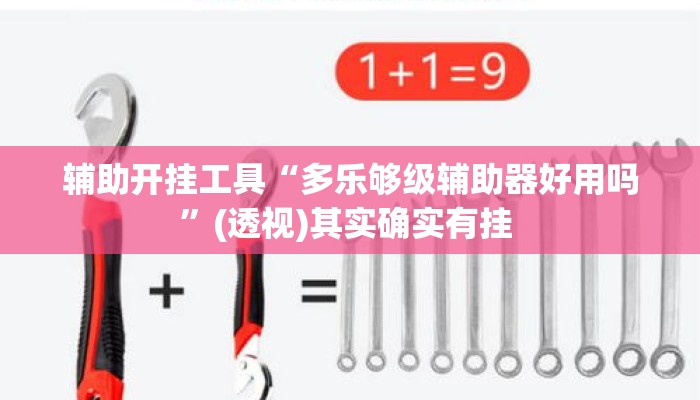 辅助开挂工具“多乐够级辅助器好用吗	”(透视)其实确实有挂 