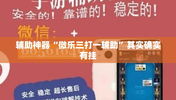 辅助神器“微乐三打一辅助”其实确实有挂